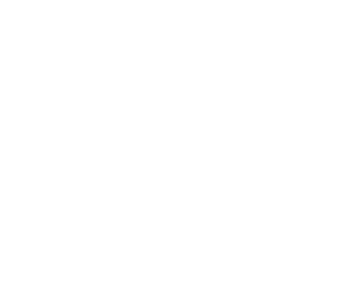 Flat Roofs